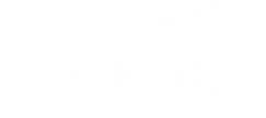 13.png