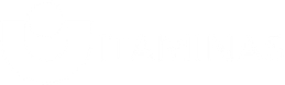 15.png